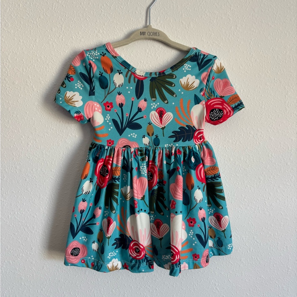 Vibrant Floral Baby Dress in Blue and Pink